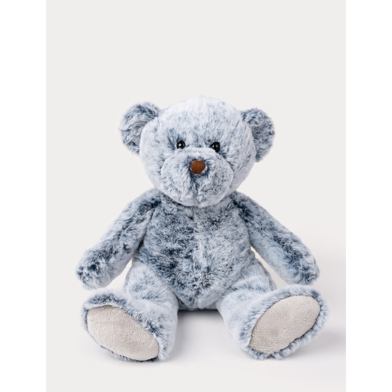 Billy Blueberry, Teddy Bear, Big