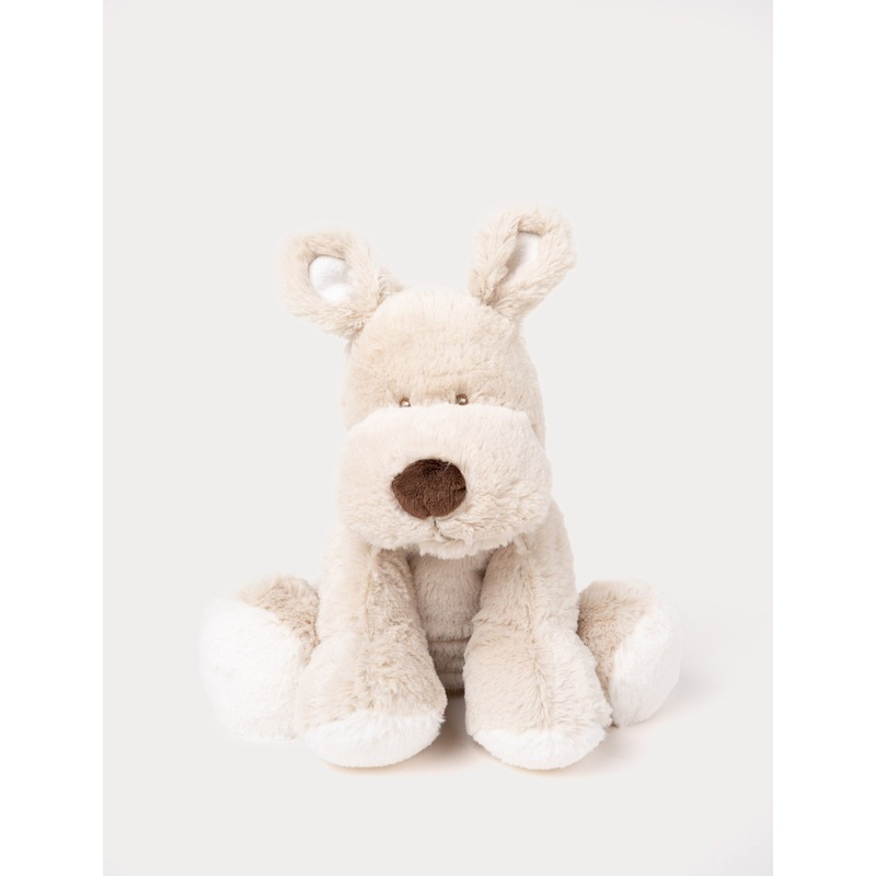 Teddy Cream, Dog, Big