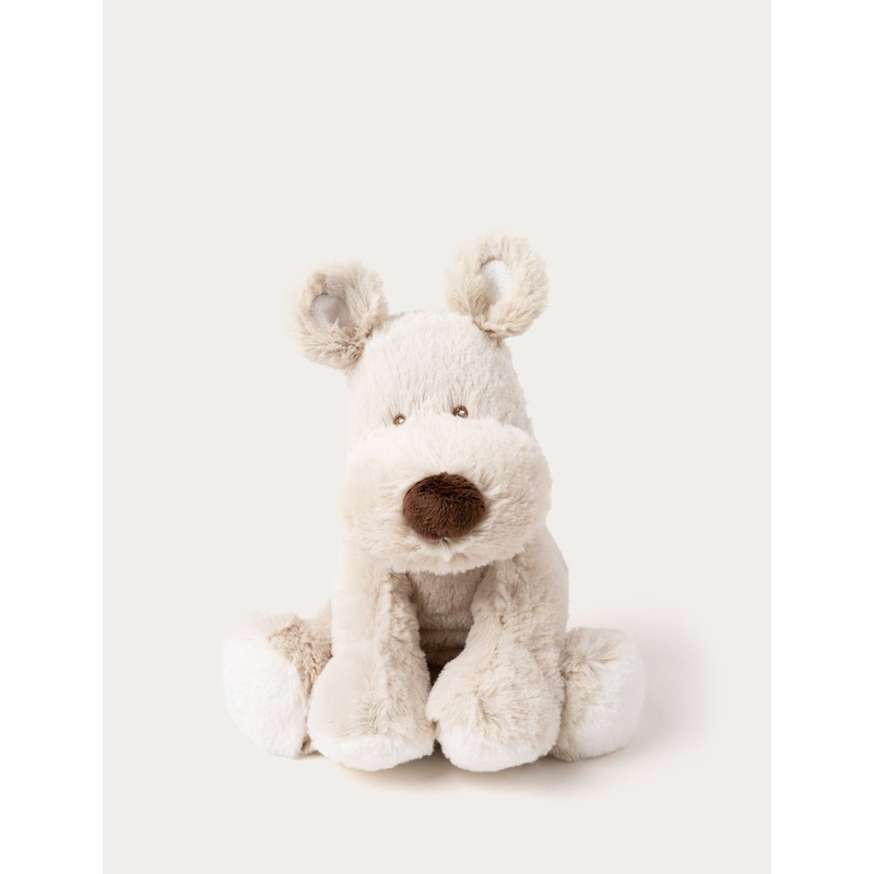 Teddy Cream, Dog, Small