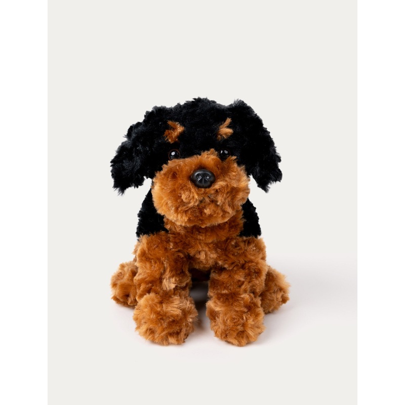 Teddy Dogs, Dog