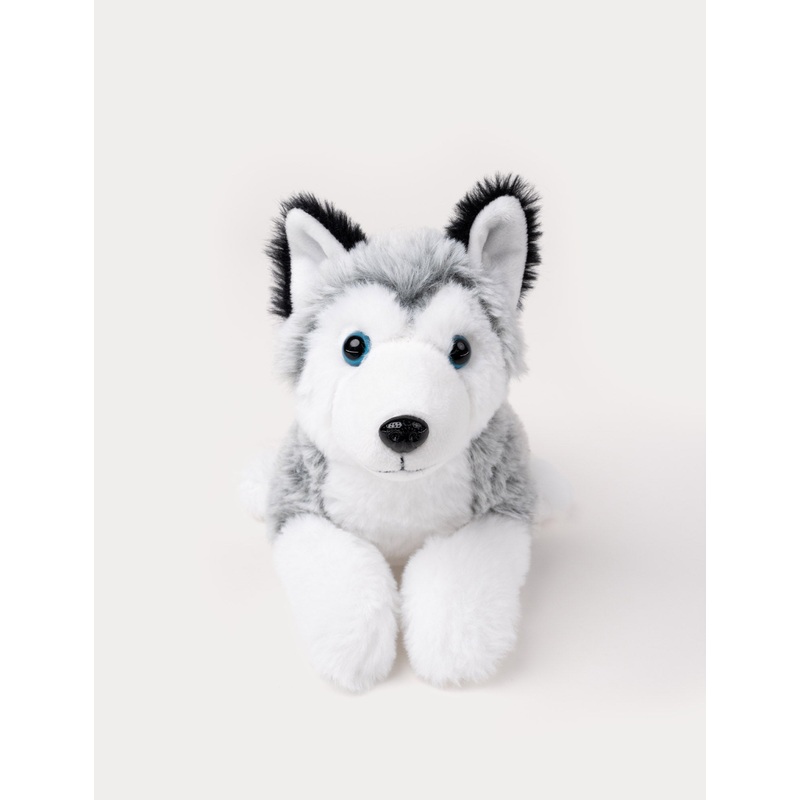 Husky