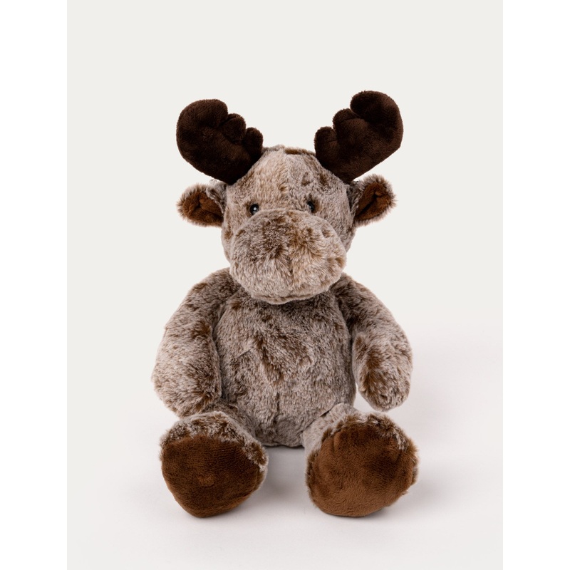 Moose, Chestnut