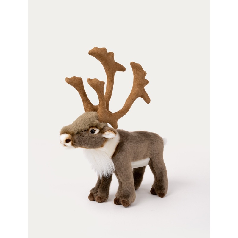 Reindeer, Big