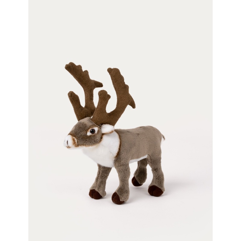Reindeer, Small