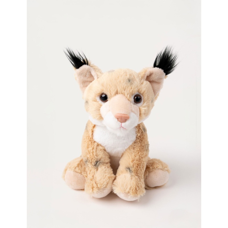 Teddy Forest, Lynx