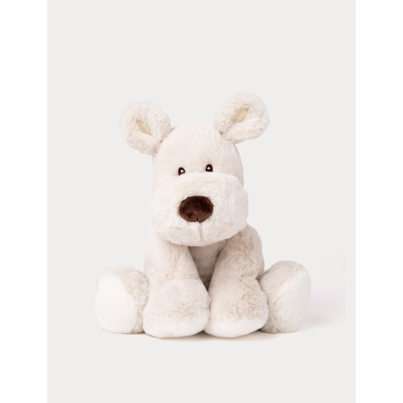 Teddy Mocca, Dog, Big