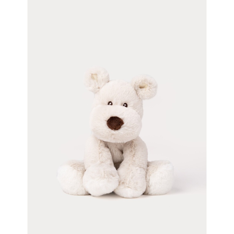 Teddy Mocca, Dog, Small