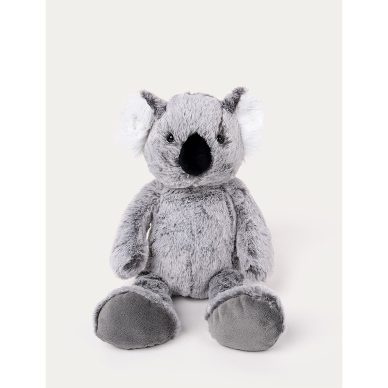 Teddy Wild, Koala