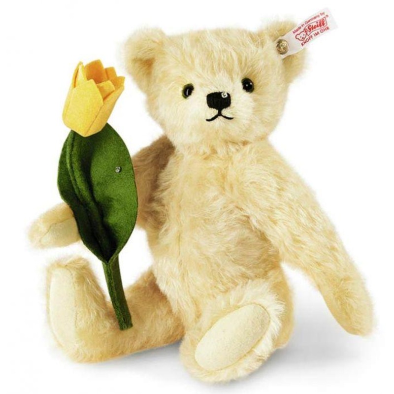 Tim Teddy Bear