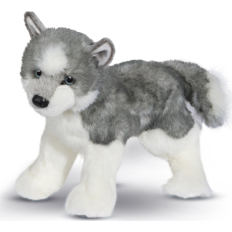 Sasha Husky
