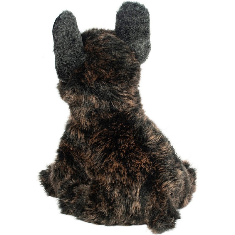 Douglas Billie French Bulldog