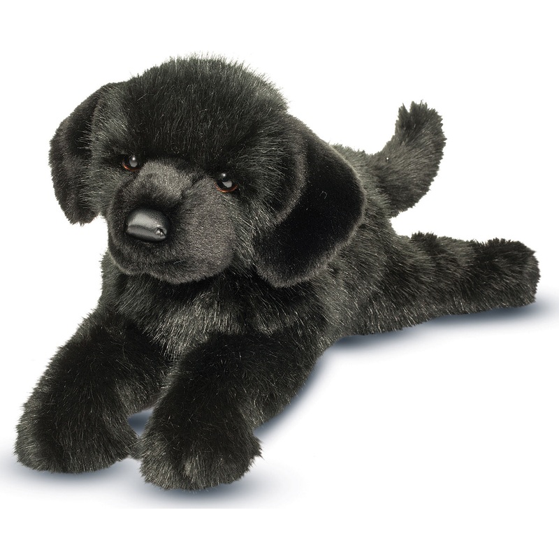 Jake  Black Lab*