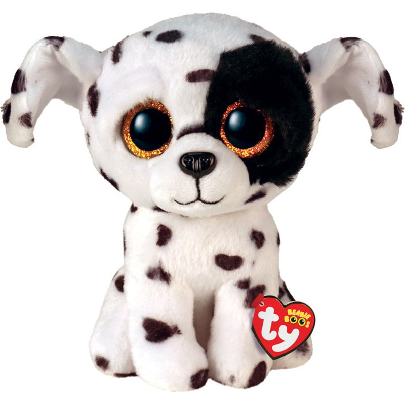 Luther, Spotted Dalmatian