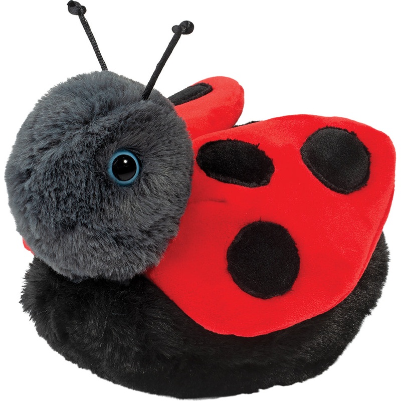 Bert Ladybug