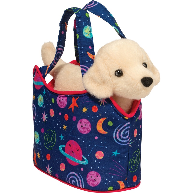 Cosmic Swirl Sassy Sak with Yellow Lab