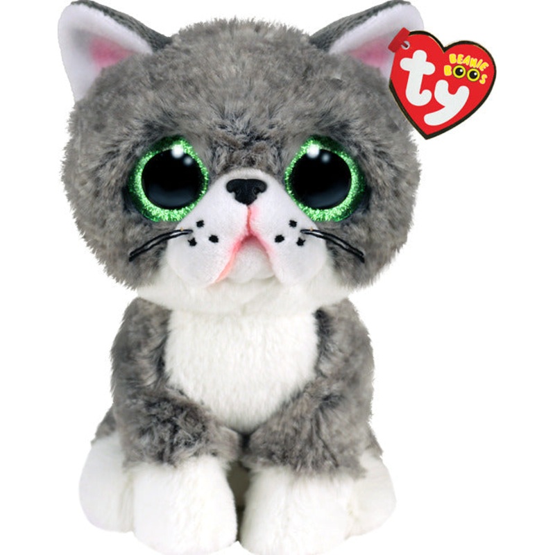 Fergus Gray Cat