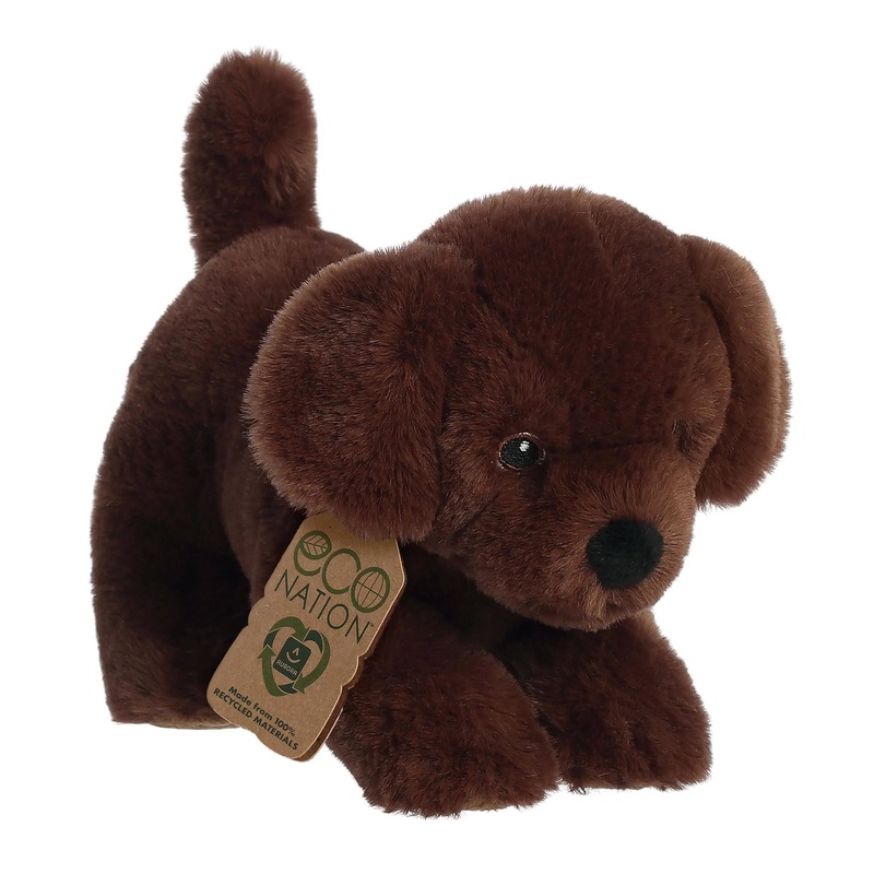 Eco Nation Chocolate Lab