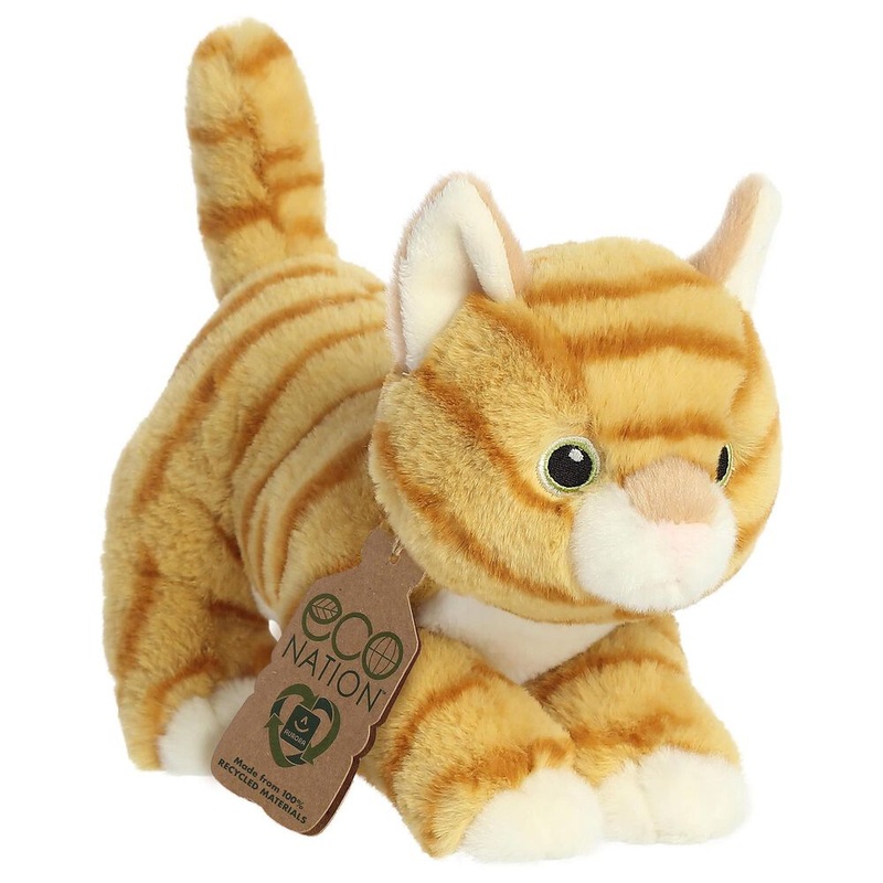 Eco Nation Orange Tabby