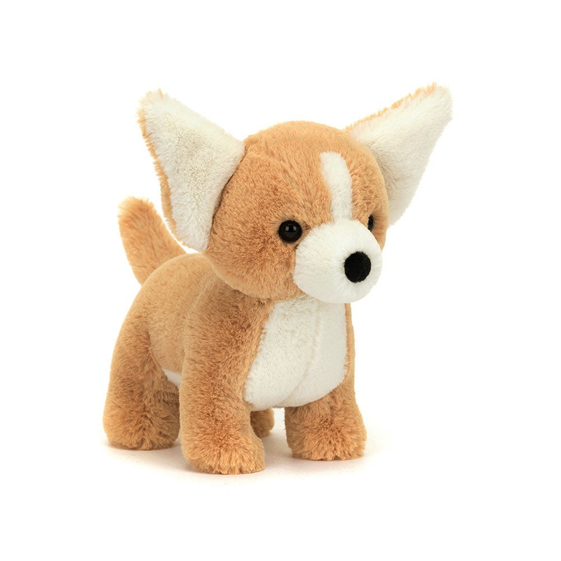 JC Isobel Chihuahua