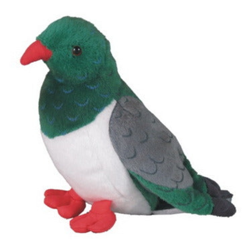 Kereru Wood Pigeon