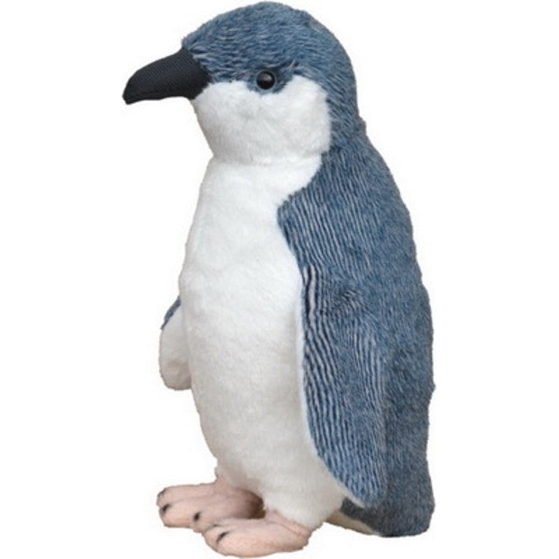 Little Blue Penguin Sound Bird