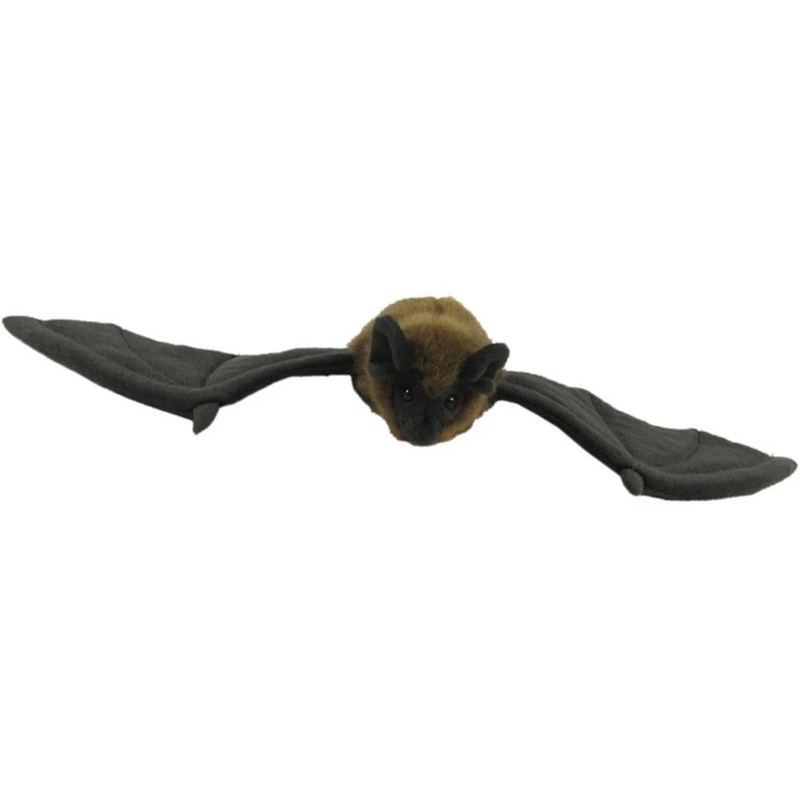 Long Tailed Bat