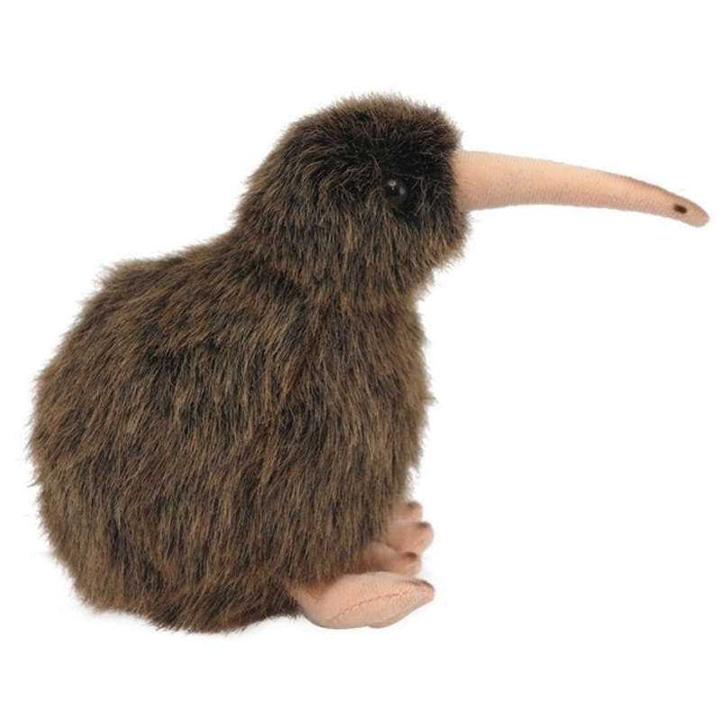 Natures Kiwi Sound Bird