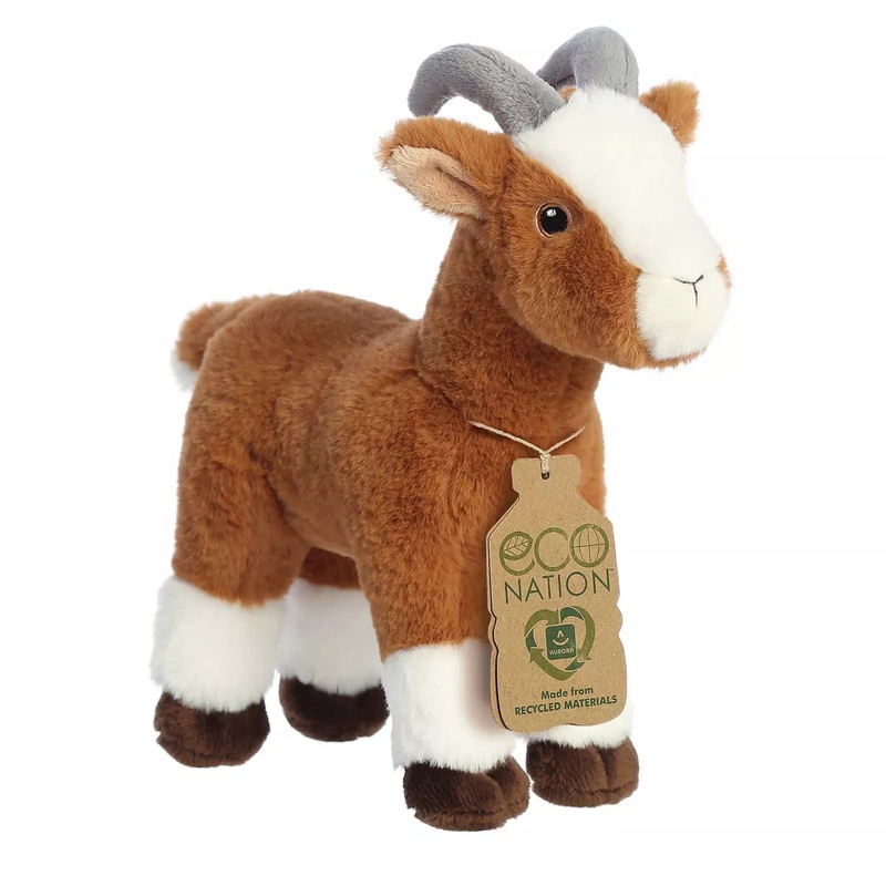 Eco Nation Goat