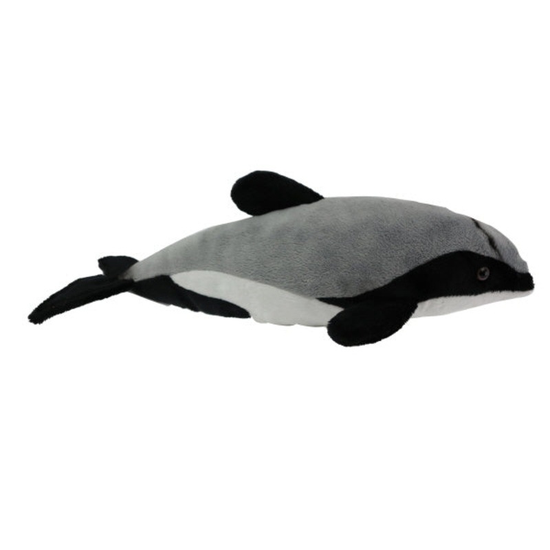 Hector Dolphin Sound
