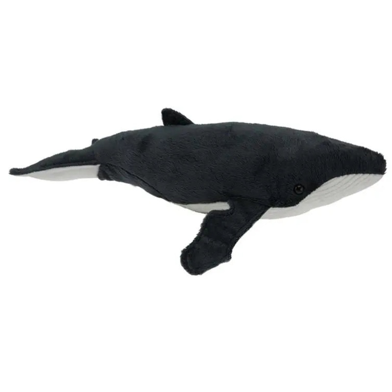 Humpback Whale Sound