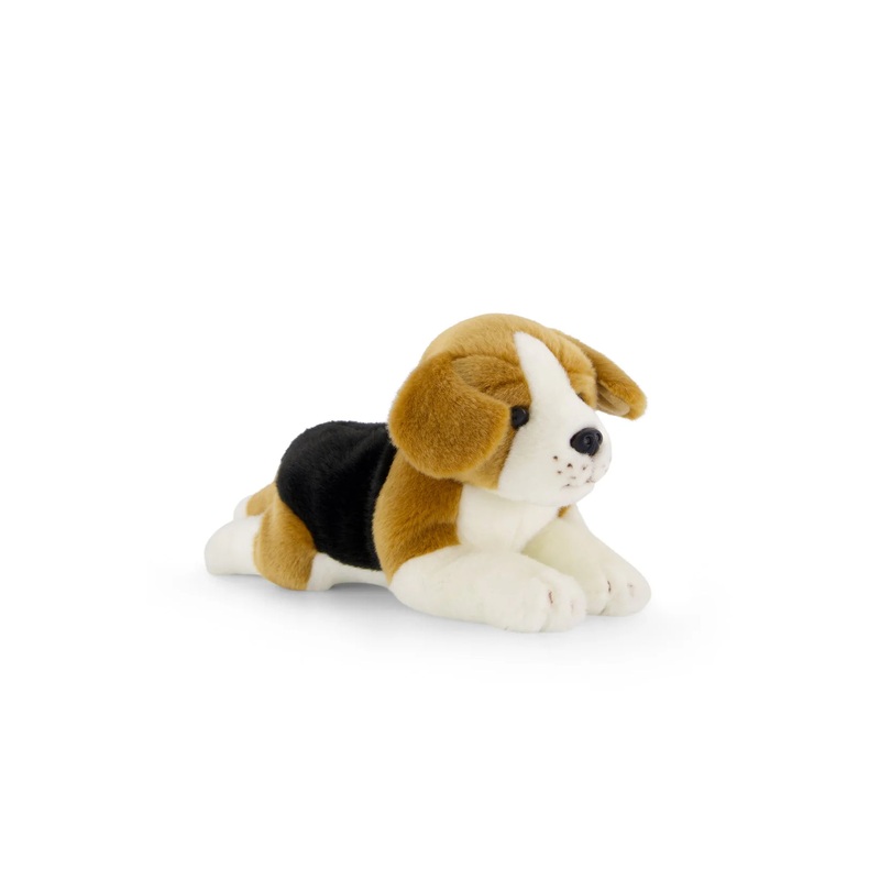 SB Brooklyn the Beagle
