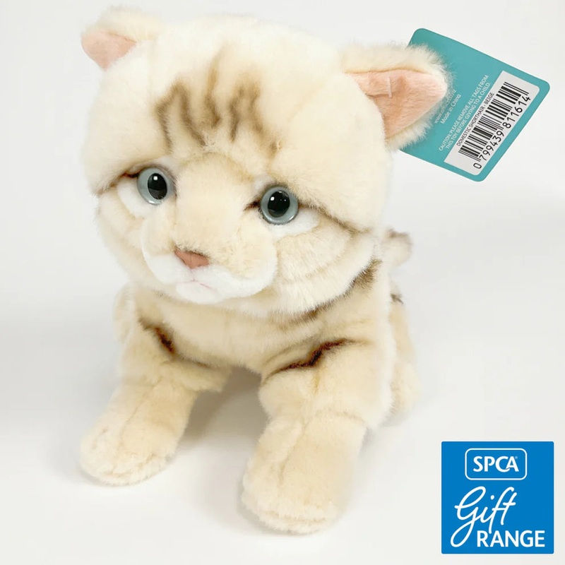 Scottish Fold Cat 26cm