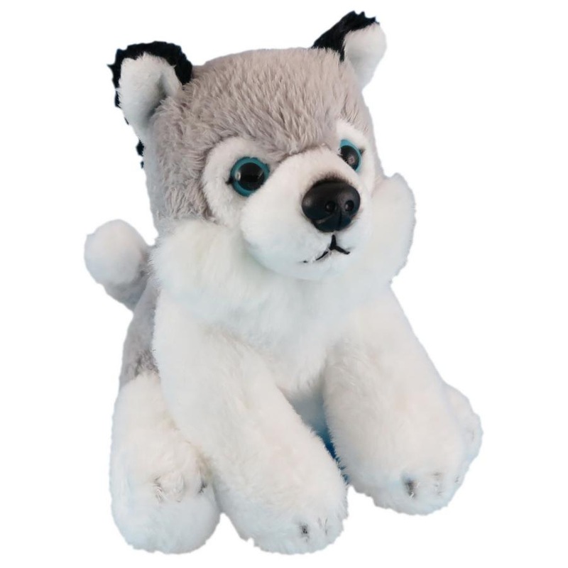 Wild Mini Husky