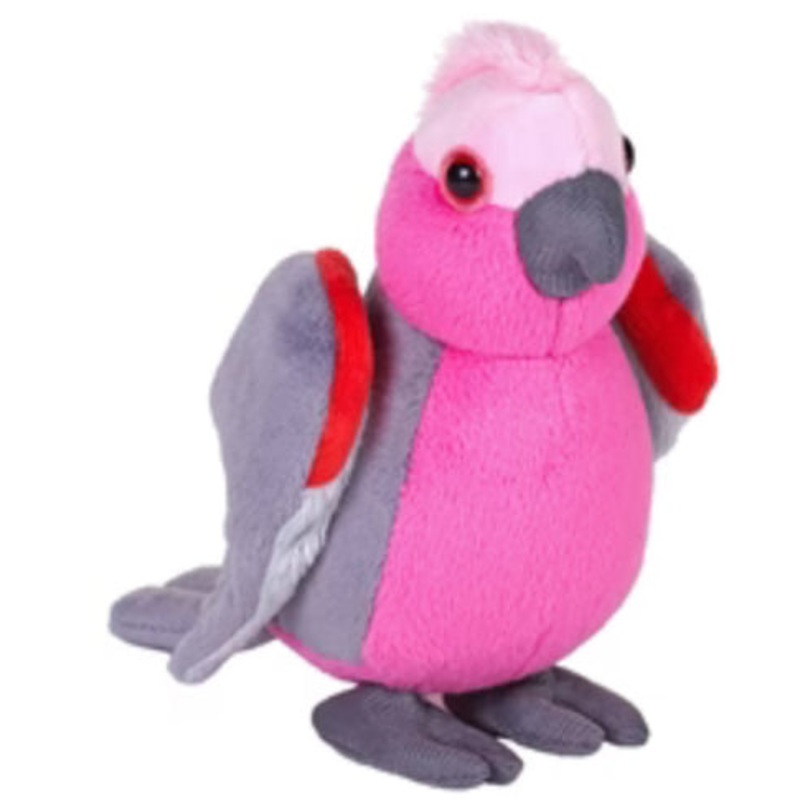 WILD POCKETKINS GALAH