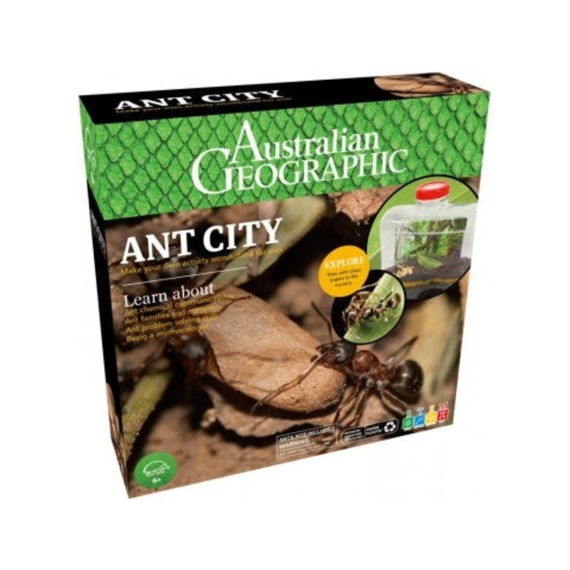 Aus Geo Ant City