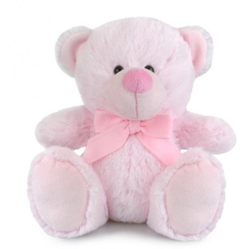 Bear My Buddy 23Cm Pink