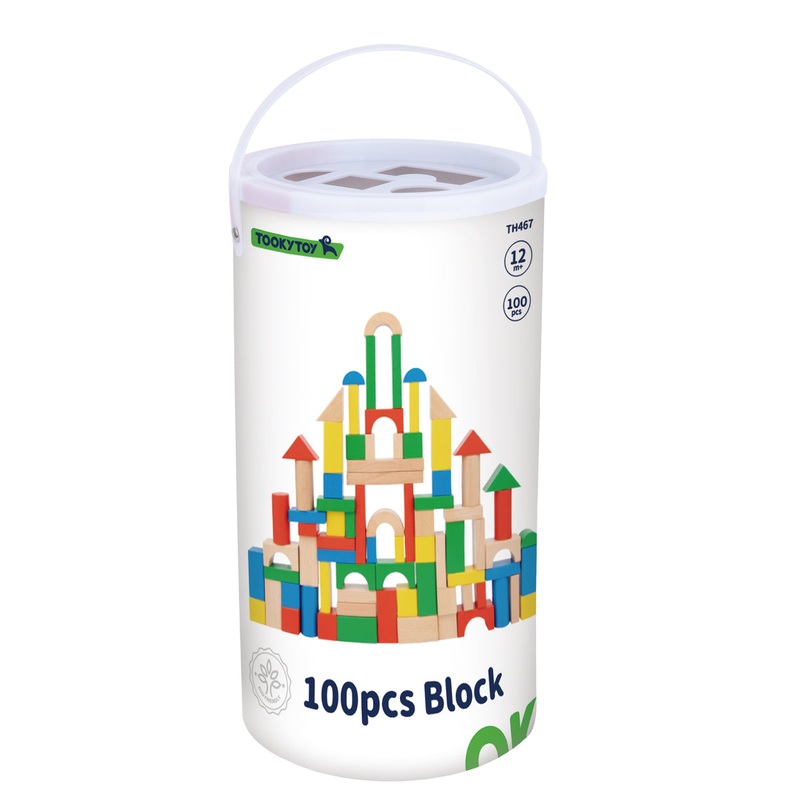 WOODEN BLOCKS 100PC