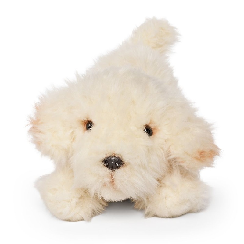 Labradoodle