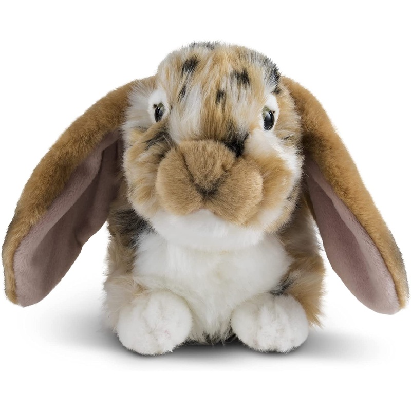 Living Nature Brown Dutch Lop Eared Rabbit