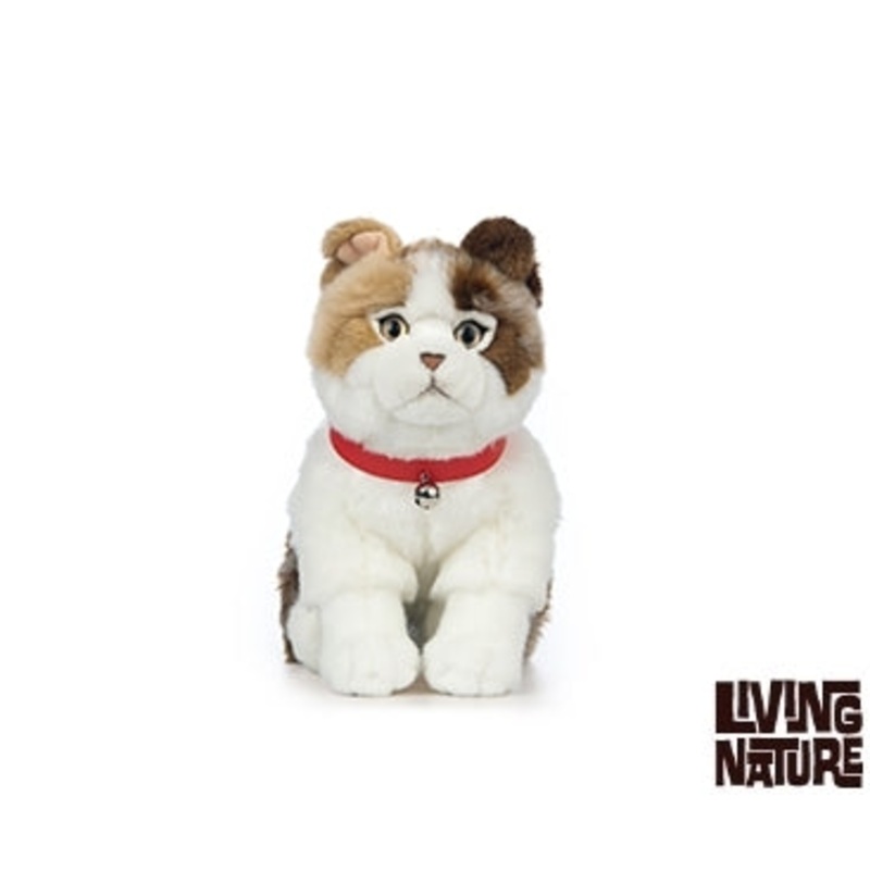 Living Nature Scottish Fold Cat