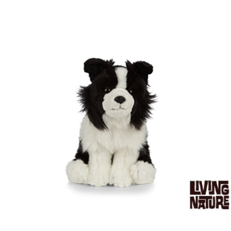 Living Nature Border Collie