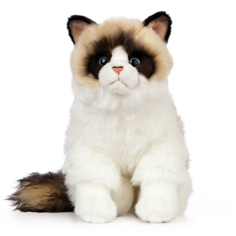 Living Nature Ragdoll Cat