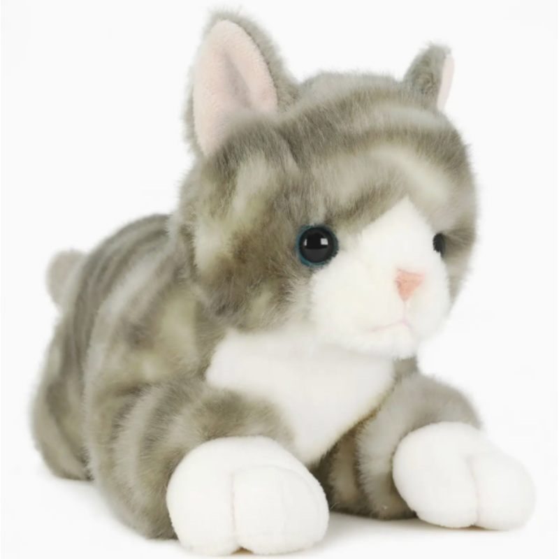 Gavin the Grey Tabby