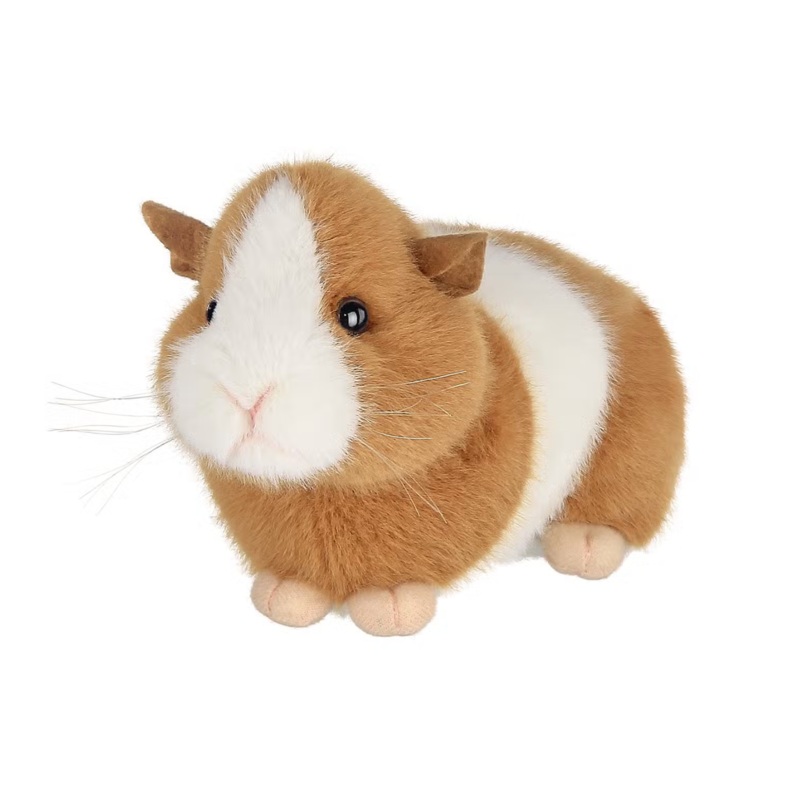 Ginny the Guinea Pig