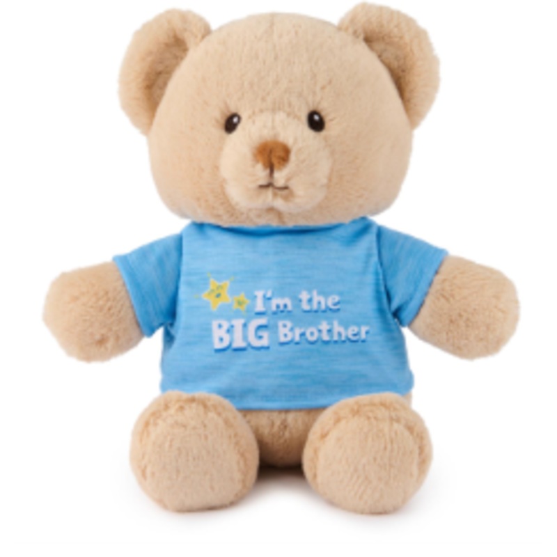 I'm the Big Brother Bear
