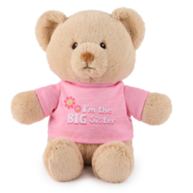 I'm the Big Sister Bear