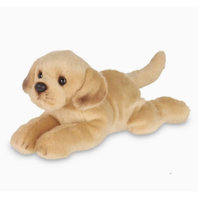 Lil' Tanner the Yellow Lab