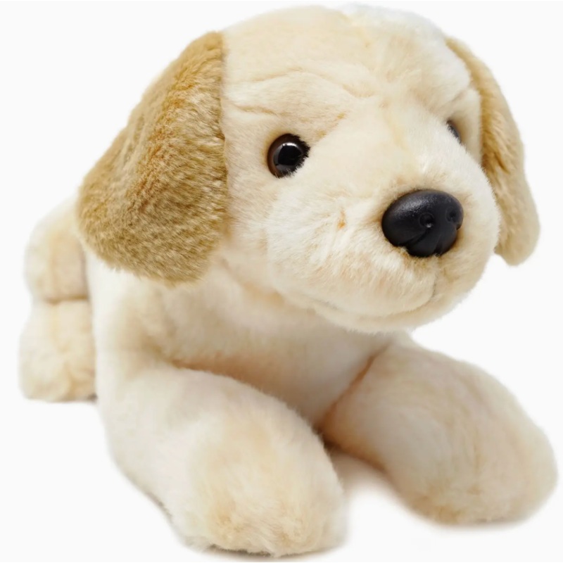 Lorrie the Labrador