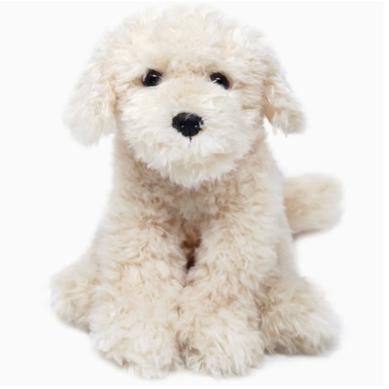 Luka the Labradoodle