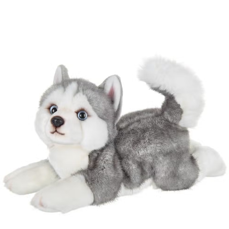 Manouk the Husky